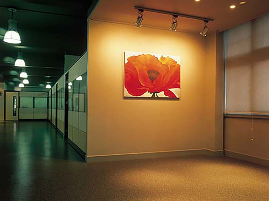 上海美术设计公司诺拉橡胶地板缩略图